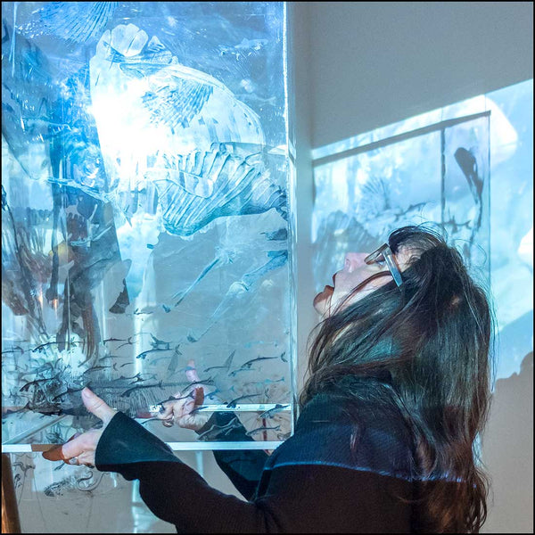 I Search for Lost Worlds (video/sound/installation)