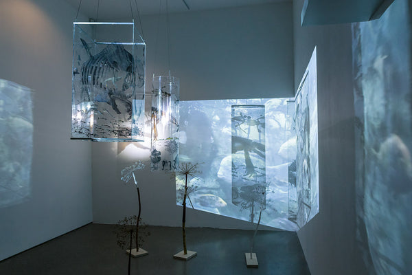 I Search for Lost Worlds (video/sound/installation)