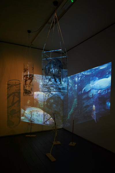 I Search for Lost Worlds (video/sound/installation)