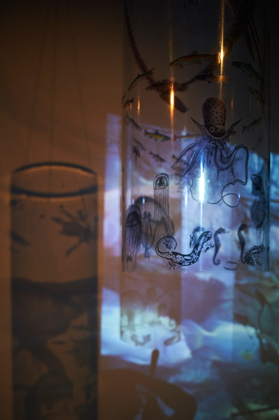 I Search for Lost Worlds (video/sound/installation)