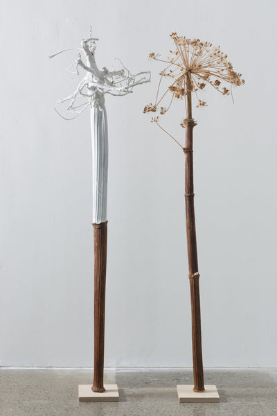 I Search for Lost Worlds (video/sound/installation)