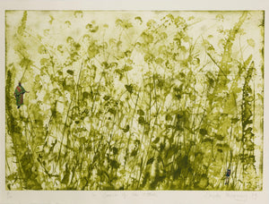 This print incorporates the use of real plants collected and dried by me from the land around my studio on the Beara Peninsula. I have introduced two figures to this idyllic landscape,the one on the left an African woman sowing seeds re[presenting the women farmers who are taking control of their lands and on the left a backpaker innocently exploring abroad.